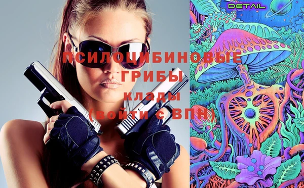 СК Абаза