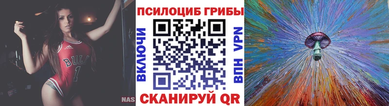 где продают Тетюши Галлюциногенные грибы Psilocybe
